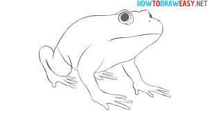 Draw lines above the frog's eyes to create the top of the head. How To Draw A Frog How To Draw Easy
