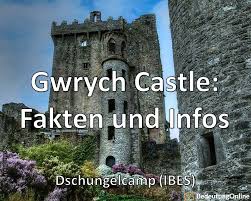 Wann ermitteln patricia arquette (medium), stana katic (castle), kathryn morris (cold case) und thomas gibson. Gwrych Castle Dschungelcamp Ibes Fakten Infos Wissenswertes Bedeutung Online