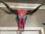 Western Painted Cow Skulls