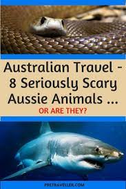Pin On Australia Nz Travel
