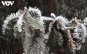 Đánh giá chi tiết hyundai accent 2021. Oxlq1nptypjadm