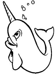 Any potential infringement of copyright is unintentional and can be resolved immediately by. Narwhal Coloring Pages Ideas Whitesbelfast Com