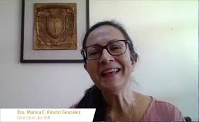 Marina Elizabeth Rincón González, la nueva directora del Instituto de  Energías Renovables (IER)