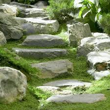 Dielan blau in keimung temperatur: Der Japanische Garten Bakker Com