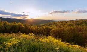 Skyline drive is the main road through shenandoah national park and has access to campgrounds, visitor centers, and resorts such as skyland resort and big meadows. Shenandoah Scenic Skyline Drive Travel The Parks