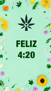 Expo Cannabis Ecuador on X: 