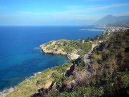 Image result for Milicia