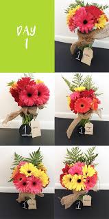 Then place the stem in a vase with water and arrange the flowers. Mythbusters How To Keep Flowers Fresh Longer Fresh By Ftd