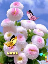 Animasyonlu Gif Giphy De Bul Ve Paylas Good Morning Flowers Gif Beautiful Flowers Wallpapers Flower Wallpaper