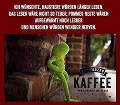 pin auf spruche und positives