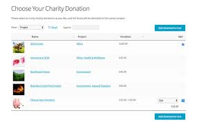 Woocommerce Donation Plugin For Accepting Donations At Checkout