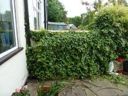 Fence on top of a wall. How Can I Install A Fence On Top Of This Wall Home Improvement Stack Exchange