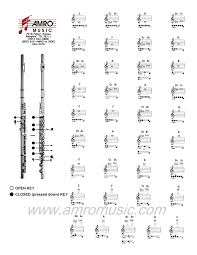 Flute Fingering Chart Amro Music Memphis