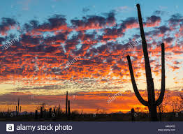 Arizona tourism arizona accommodation arizona bed and breakfast. Colorful Desert Sunset Tucson Mountain Desert Sunset Sunset Images Sunset