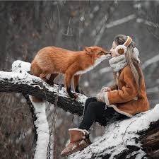 Credit Mountain Stories Dont Foget To Follow Them Double Tap And Tag Your Friend Visit And Get A Tsh Sevimli Hayvan Yavrulari Komik Hayvanlar Hayvan