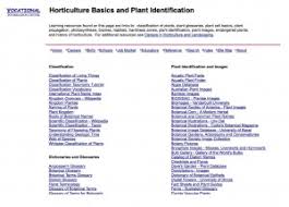 Plant Id Websites Identify That Plant