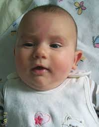 15. Falkensteiner Weinfest