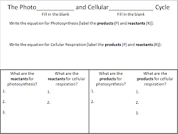 Can be done in the presence (aerobic) or absence (anaerobic) of oxygen. Photosynthesis And Cellular Respiration Comparison Activity With Answer Key Teaching Resources