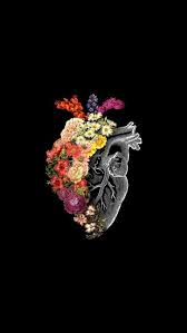 coracao papeldeparede anatomy art flower drawing flower art