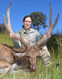 Australia Record Book Javan Rusa Deer Hunt (up to SCI 145) - 3 days, 1 hunter, 1 guide - Hunting The World