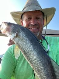 Fishing for Whites at Greers Ferry