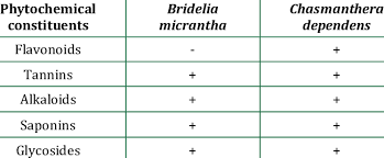 Image result for Chasmanthera dependens