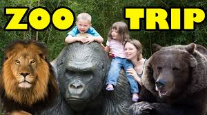 Zoo Animals Cute Animals Funny Animals An Amazing Zoo Trip Youtube