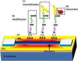 67 просмотров 9 месяцев назад. High Performance Integrated Field Effect Transistor Based Sensors Sciencedirect