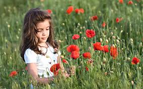 See more ideas about flower background wallpaper, flower backgrounds, flower frame. Poppy Girl Hd Wallpapers Free Download Wallpaperbetter