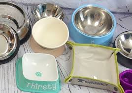 However, it's important to note that. 2 Best Flat Faced Dog Bowls 12 Tested And Reviewed