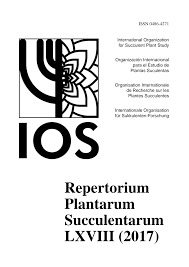 Image result for Plinthus cryptocarpus