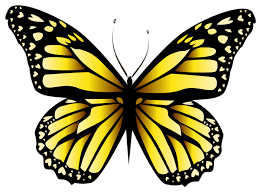 Yellow Butterfly Png Clipar Image Butterfly Clip Art Butterfly Art Orange Butterfly