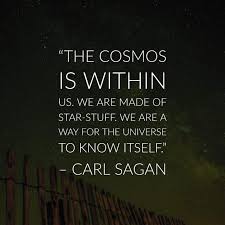 We Are A Way For The Universe To Know Itself The Cosmos Is Within Us We Are Made Of Star Stuff We Are A Way For The Universe To Know Itself Carl Sagan Cosmos Quotes Carl Sagan Quote Carl Sagan