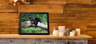 Bingkai foto digital sangat, praktis,. Cara Mengubah Tablet Android Lama Menjadi Bingkai Foto Digital Perbarui Otomatis Bagaimana Caranya Kiat Komputer Dan Informasi Berguna Tentang Teknologi Modern