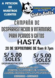 Clínica Veterinaria El Gato Félix