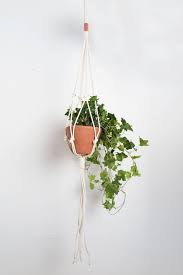 40 Most Hot Hanging Plants Ideas At The End Of The Year Plant Hanger Hanging Plants Macrame Plant Hanger