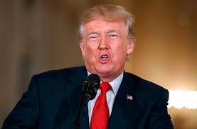 Resultado de imagen para donald trump tonto