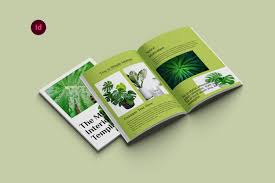 Image result for Diclis