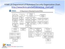 59 Symbolic Fema Org Chart