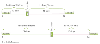 late period or early miscarriage how to know fertility focus