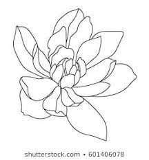 Outline Flower Izobrazheniya Stokovye Fotografii I Vektornaya Grafika Shutterstoc Peintre Des Fleurs En Acrylique Croquis De Fleurs Comment Dessiner Une Fleur