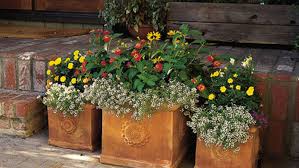 We did not find results for: How To Pot A Plant And Create A Container Garden This Old House