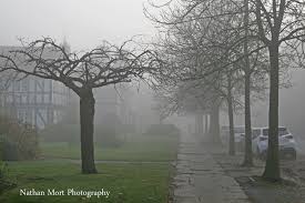 Nathan Mort Photography