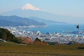 In 2003 shizuoka merged with the port city of shimizu and other neighbouring municipalities. Shizuoka Liberal Dictionary