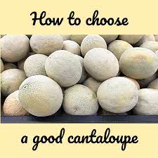 The next time you head to the produce section, don't forget to do a basic inspection to make sure you're getting the best cantaloupe. How To Pick The Perfect Sweet Cantaloupe 6 Tips Delishably