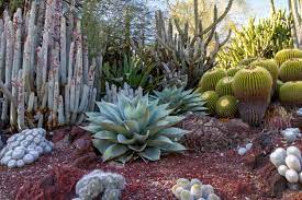 Debunking myths about rattlesnakes, scorpions and tartantulas. Desert Garden Ideas Tips For Southwest Landscaping And Outdoor Design