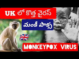 We did not find results for: Monkey Pox Virus Ii à°® à°• à°ª à°• à°¸ à°µ à°°à°¸ Ii Knowledge And Facts Telugu Ii Kft Youtube