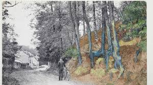 Discovery Related To Van Gogh S Last Painting Sheds Light On His Suicide Researcher Says Abc News