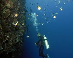 Gambar Dinding terjal Bunaken