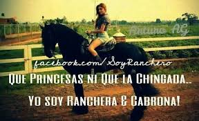 Que Princesa Ni Que La Chingada Soy Ranchera Y Cabrona Aajjua Jalisco Frases De Caballos Frases Chingonas Frases Perronas